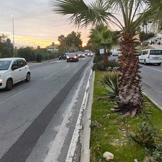 Imperia, bosco urbano: (parziale) marcia indietro del Comune?
