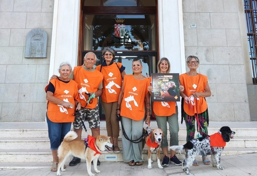 Lav Imperia, Bonino: "I cinghiali? La caccia non è la soluzione"