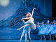 Spettacolo di balletto 'Le Lac des Cygnes’ al Palais Nikaïa di Nizza Spettacolo di balletto 'Le Lac des Cygnes’ al Palais Nikaïa di Nizza