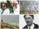 Siccità e stagione olearia: il punto con Laura Marvaldi, la signora dell'olio (videointervista) Siccità e stagione olearia: il punto con Laura Marvaldi, la signora dell'olio (videointervista)