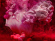 Diano Marina: dall'11 dicembre al Palazzo del Parco la “Intimate collection” di Aqua Aura