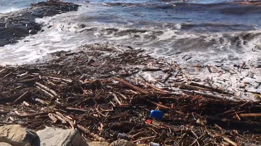 Danni maltempo, Di Muro (Lega): "Il Parlamento acceleri l'iter per l'approvazione della legge che classifichi come biomasse il materiale legnoso portato sulle nostre spiagge" Danni maltempo, Di Muro (Lega): "Il Parlamento acceleri l'iter per l'approvazione della legge che classifichi come biomasse il materiale legnoso portato sulle nostre spiagge"