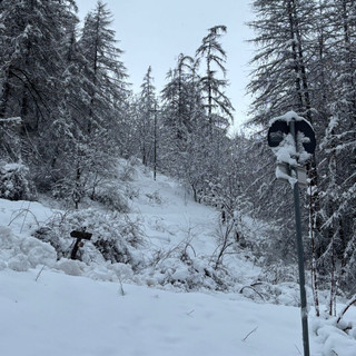 Foto di Giulio Verzeroli