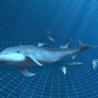 Little Dolphin a Marineland è la novità al Cinéma Adventure 5D