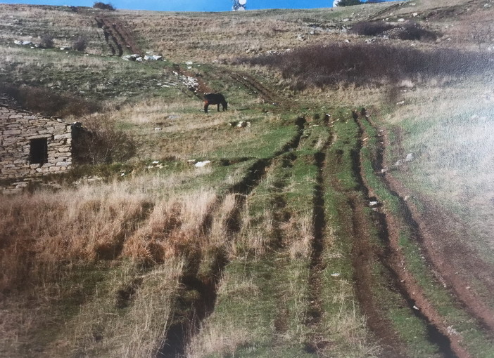 Divieto transito mezzi a motore sui sentieri del Monte Faudo, il Comune di Dolcedo si unisce all’appello del Sindaco di Pigna Divieto transito mezzi a motore sui sentieri del Monte Faudo, il Comune di Dolcedo si unisce all’appello del Sindaco di Pigna
