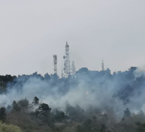 Cervo, boscaglia in fiamme al confine con la provincia di Savona: incendio alimentato dal forte vento (foto)