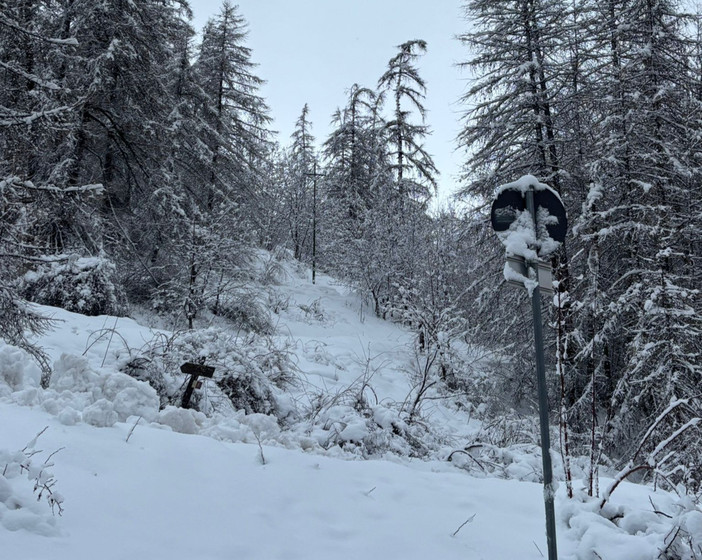 Foto di Giulio Verzeroli