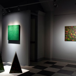 Mostra di Franco Passalacqua al Palazzo del Parco di Diano Marina