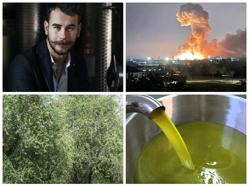 Paolo Boeri dell’oleificio Roi: “La guerra una ulteriore mazzata anche per il settore oleario, costi e prezzi già in aumento”