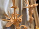 Diano Marina: ‘Prima mostra dei parmuei’ e workshop alla scoperta della tradizione dell’intreccio delle foglie di palma