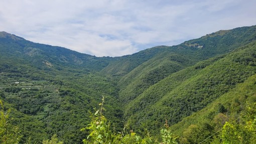 Il Monte Guardiabella (Foto Flammia) Il Monte Guardiabella (Foto Flammia)