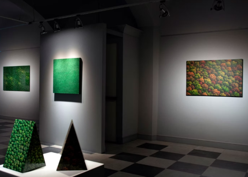 Mostra di Franco Passalacqua al Palazzo del Parco di Diano Marina Mostra di Franco Passalacqua al Palazzo del Parco di Diano Marina