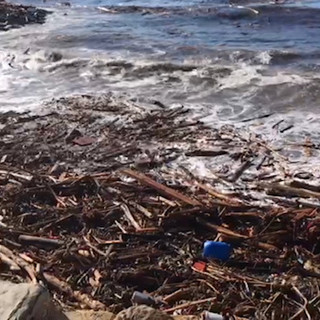 Danni maltempo, Di Muro (Lega): "Il Parlamento acceleri l'iter per l'approvazione della legge che classifichi come biomasse il materiale legnoso portato sulle nostre spiagge"