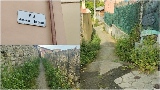 Erbacce e mancato sfalcio, i residenti di via Armanna a Porto Maurizio sul piede di guerra (foto)