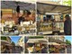 Coronavirus, anche a Porto Maurizio il primo giorno di mercato: &quot;C'è tanta voglia di ricominciare e rinascere&quot; (foto e video)