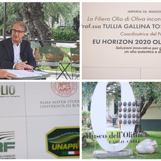 Imperia, al Museo dell'Olivo incontro della filiera dell'olio con Tullia Gallina Toschi. Videointervista a Lucio Carli Imperia, al Museo dell'Olivo incontro della filiera dell'olio con Tullia Gallina Toschi. Videointervista a Lucio Carli