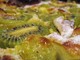 Mercoledì Veg: Clafoutis ai kiwi