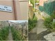 Erbacce e mancato sfalcio, i residenti di via Armanna a Porto Maurizio sul piede di guerra (foto)