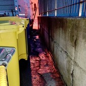 Imperia, ritiro dei rifiuti troppo rumoroso: "Qui non si dorme più" Imperia, ritiro dei rifiuti troppo rumoroso: "Qui non si dorme più"