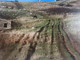 Divieto transito mezzi a motore sui sentieri del Monte Faudo, il Comune di Dolcedo si unisce all’appello del Sindaco di Pigna Divieto transito mezzi a motore sui sentieri del Monte Faudo, il Comune di Dolcedo si unisce all’appello del Sindaco di Pigna