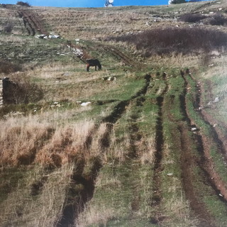 Divieto transito mezzi a motore sui sentieri del Monte Faudo, il Comune di Dolcedo si unisce all’appello del Sindaco di Pigna Divieto transito mezzi a motore sui sentieri del Monte Faudo, il Comune di Dolcedo si unisce all’appello del Sindaco di Pigna