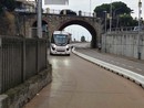 Navetta a guida autonoma, nuovo test sul tracciato dell'ex ferrovia tra Porto Maurizio e Oneglia Navetta a guida autonoma, nuovo test sul tracciato dell'ex ferrovia tra Porto Maurizio e Oneglia
