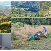 "Più prati, meno boschi", la provocazione di Alberto Griffini che accende il dibattito a Nava