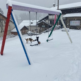 Fitta nevicata a Monesi, le immagini postate sui social mostrano l'entroterra imbiancato (foto e video)