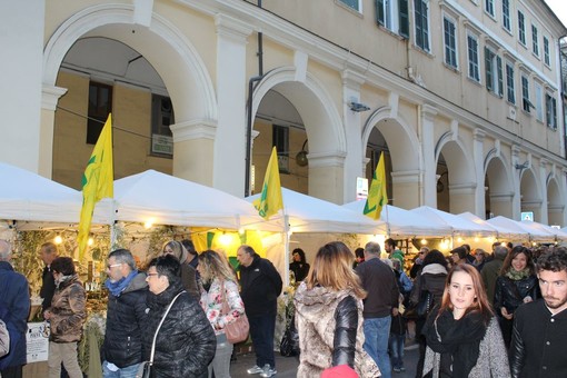 Imperia: a un mese da Olioliva è polemica tra l'amministrazione e PromImperia sulla selezione degli espositori