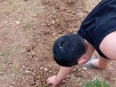 Imperia, 'Orto a km Isah' orticoltura a valenza riabilitativa ed educativa Imperia, 'Orto a km Isah' orticoltura a valenza riabilitativa ed educativa