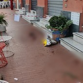Ventimiglia: omicidio in piazza Battisti, piantonato in ospedale il colpevole e indagini in corso (Foto)