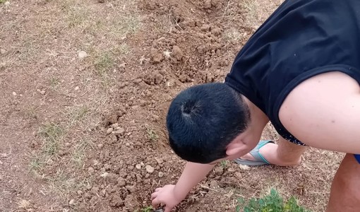 Imperia, 'Orto a km Isah' orticoltura a valenza riabilitativa ed educativa Imperia, 'Orto a km Isah' orticoltura a valenza riabilitativa ed educativa