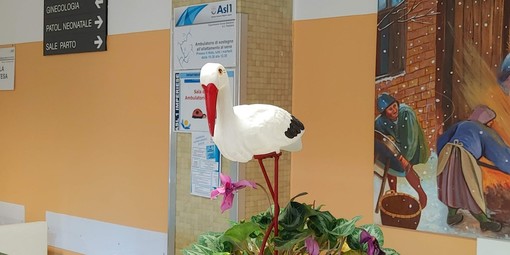 Guerra dei cesarei, Sanremo insorge: "Imperia vuole tutto"