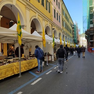 Torna Olioliva, rivoluzione al traffico in centro a Imperia per tre giorni Torna Olioliva, rivoluzione al traffico in centro a Imperia per tre giorni