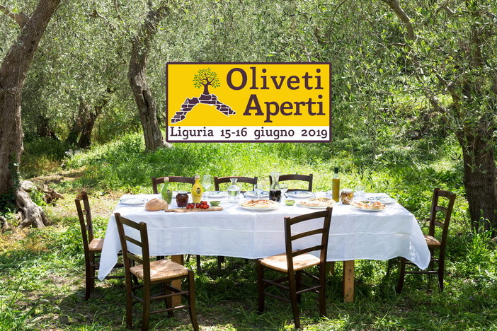 Il 15 e 16 giugno ‘Oliveti Aperti’, alla scoperta di una Liguria inedita a cura del Consorzio di Tutela Olio DOP Riviera Ligure