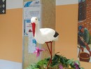 Guerra dei cesarei, Sanremo insorge: "Imperia vuole tutto"