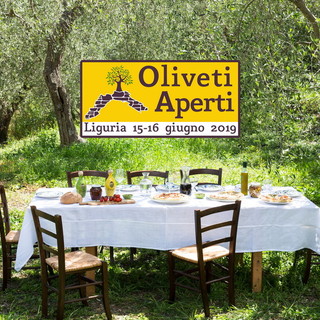 Il 15 e 16 giugno ‘Oliveti Aperti’, alla scoperta di una Liguria inedita a cura del Consorzio di Tutela Olio DOP Riviera Ligure