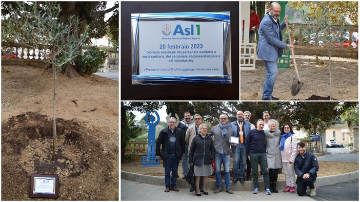 Sanremo: Giornata Nazionale del personale sanitario, ASL1 pianta olivo nei giardini di Bussana Sanremo: Giornata Nazionale del personale sanitario, ASL1 pianta olivo nei giardini di Bussana