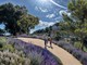 Imperia, 'Ambiente &amp; Sicurezza' di Arturo Cipriani curerà il cantiere per il nuovo bosco urbano sul Lungomare Vespucci