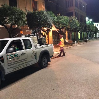 Diano Marina, ieri sera la pulizia degli agrumi nelle vie del centro attaccati dalla cocciniglia Diano Marina, ieri sera la pulizia degli agrumi nelle vie del centro attaccati dalla cocciniglia
