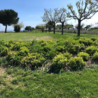Imperia Rinasce: "Parco urbano paradiso del birdwatching, opportunità da valorizzare"