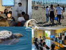 Un nuovo progetto dei Delfini del ponente per la salvaguardia delle tartarughe marine