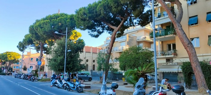 Imperia, sicurezza in via Scarincio: verrà rimosso un pino instabile