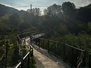 LIGURIA VERDE. A Chiusavecchia un nuovo percorso ciclo-pedonale e un oliveto LIGURIA VERDE. A Chiusavecchia un nuovo percorso ciclo-pedonale e un oliveto