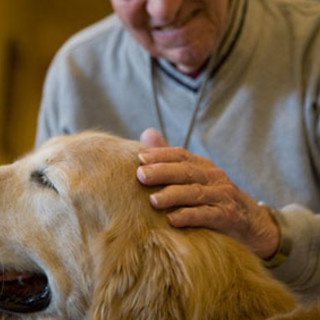 Giornata internazionale diritti animali: Regione Liguria promuove l’adozione consapevole e la Pet Therapy