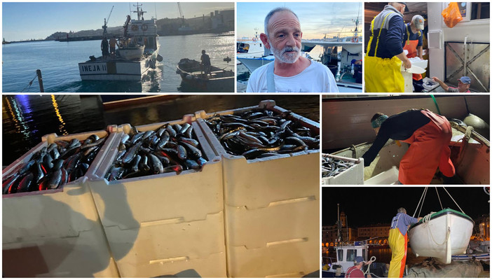 "E la chiamano Estate...", notte con i pescatori del porto di Oneglia (foto)