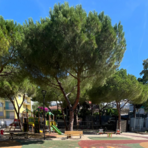Teppisti al parco di Cervo, il Comune costretto a chiudere i battenti Teppisti al parco di Cervo, il Comune costretto a chiudere i battenti