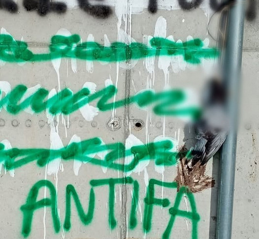 Imperia, piccione impiccato con scritta “antifa”: la denuncia de La Talpa e l’Orologio