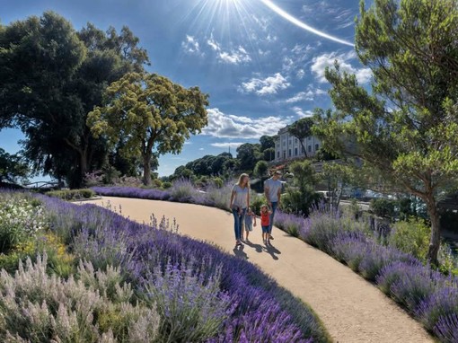 Imperia, riqualificazione Lungomare Vespucci: tra ciclabile, 'bosco urbano' e polemiche sul traffico Imperia, riqualificazione Lungomare Vespucci: tra ciclabile, 'bosco urbano' e polemiche sul traffico