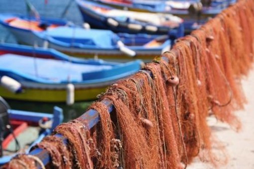 Approvato il rinnovo della deroga per la pesca del rossetto, buone notizie per i pescatori della Liguria Approvato il rinnovo della deroga per la pesca del rossetto, buone notizie per i pescatori della Liguria